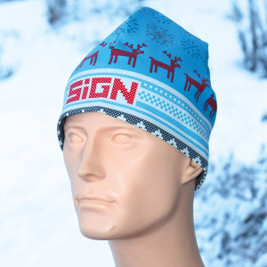 SIGN Hat S2 - Winter cyan reindeer